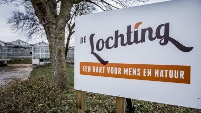 De Lochting