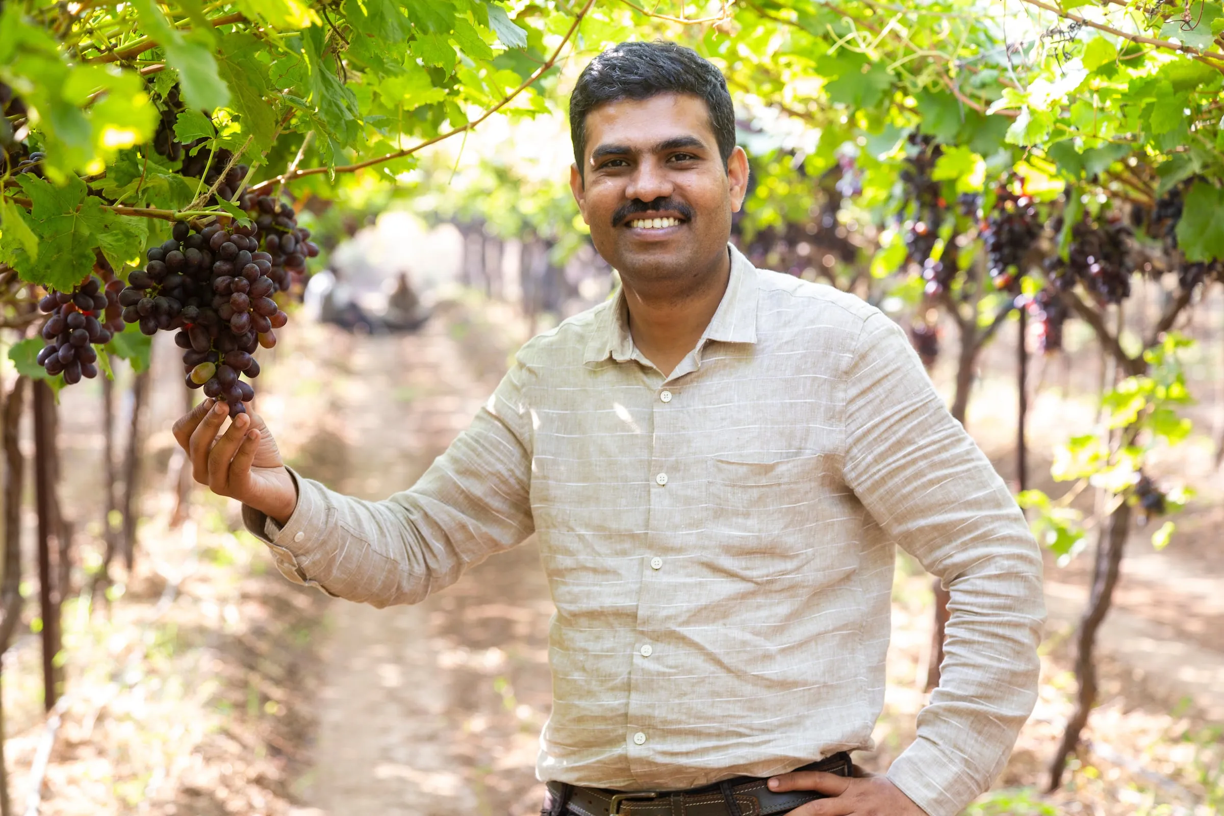 Sahyadri Farms Post Harvest Care Limited
